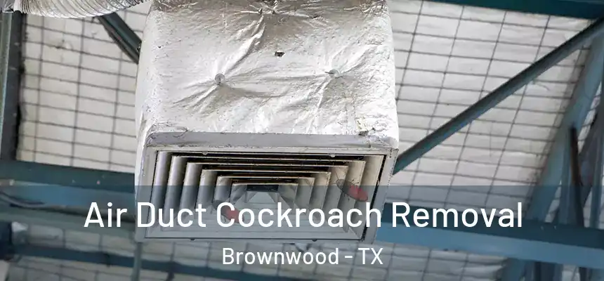 Air Duct Cockroach Removal Brownwood - TX