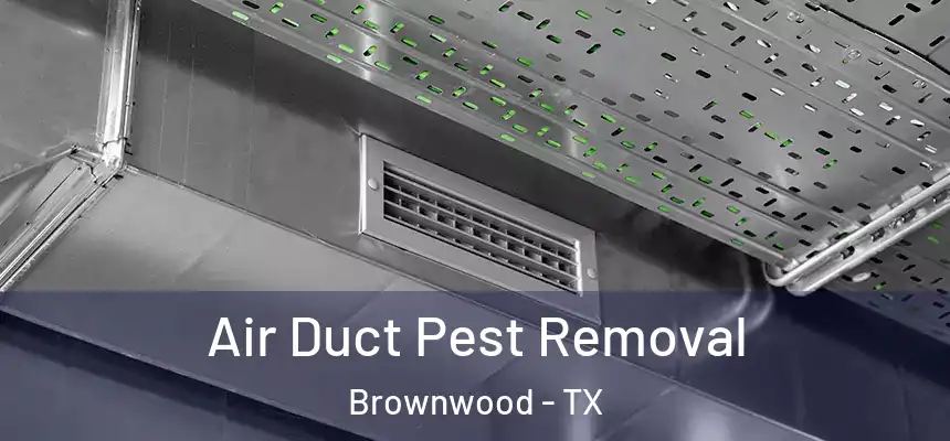  Air Duct Pest Removal Brownwood - TX