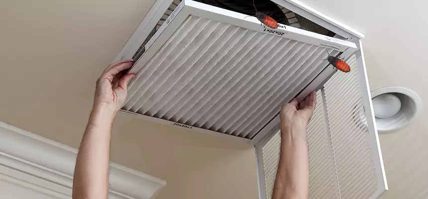 Preventive Cockroach-Proofing for Ducts in Brownwood