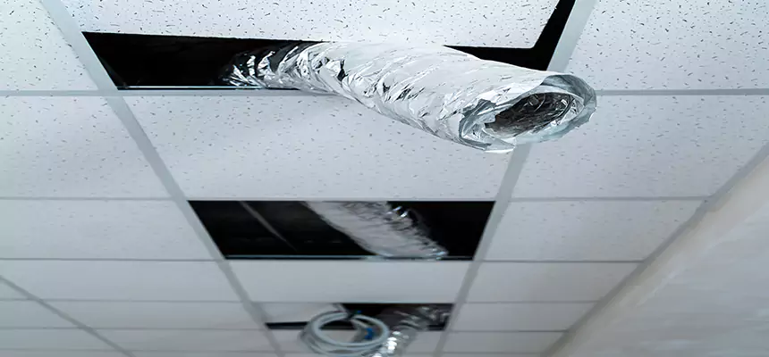 Our Air Duct Pet Hair Removal Services in Brownwood, TX