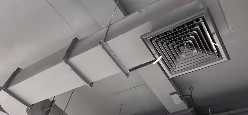 Restorative Allergy Relief Vent Cleaning – Coil, Blower & Housing Detail in Brownwood