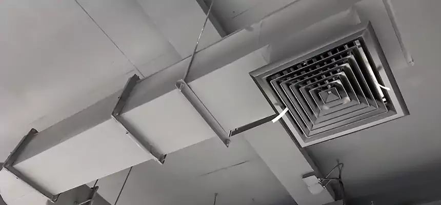 Our Pest Removal From Ducts Services in Brownwood, TX