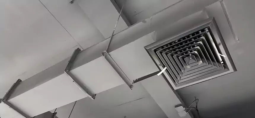 Our Rodent Droppings In Vents Services in Brownwood, TX