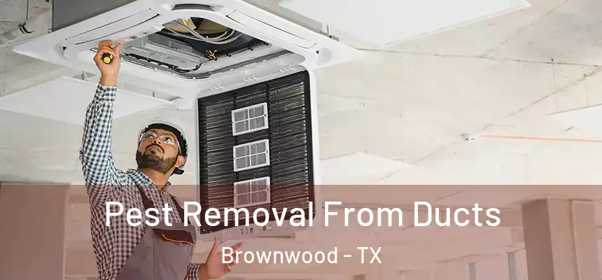 Pest Removal From Ducts Brownwood - TX