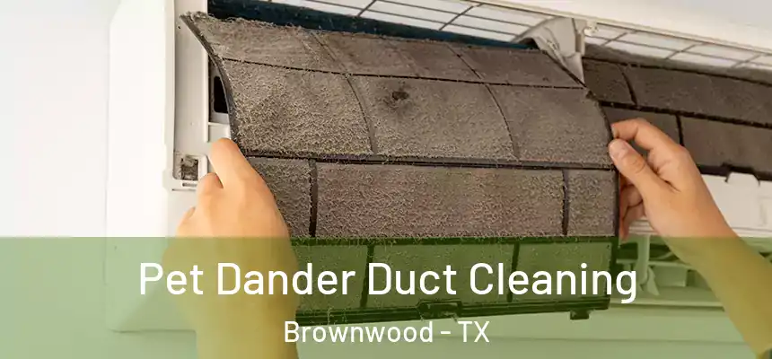 Pet Dander Duct Cleaning Brownwood - TX