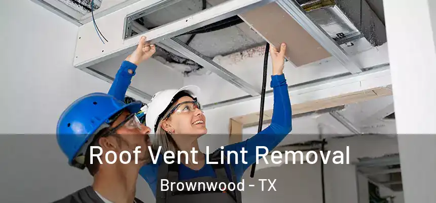  Roof Vent Lint Removal Brownwood - TX