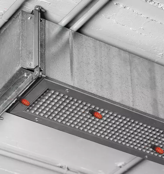 About Air Duct Cockroach Removal in Brownwood, TX