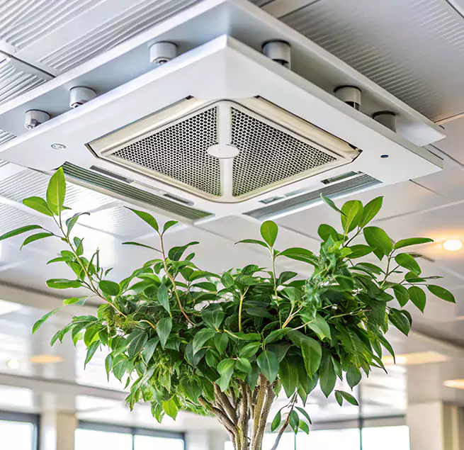 Why Homeowners & Businesses Trust Us in Brownwood, TX